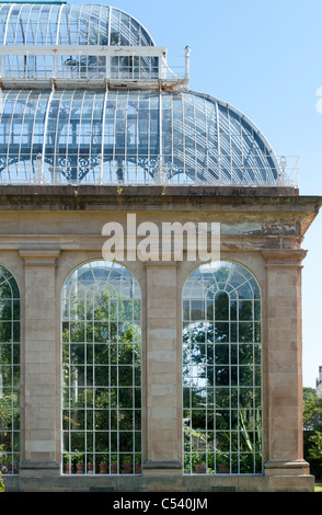 Gemäßigten Palm House, Royal Botanic Gardens, Edinburgh. Schottland Stockfoto