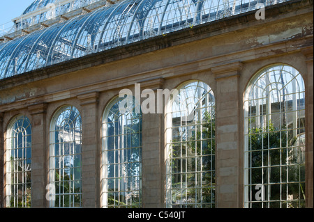 Gemäßigten Palm House, Royal Botanic Gardens, Edinburgh. Schottland Stockfoto