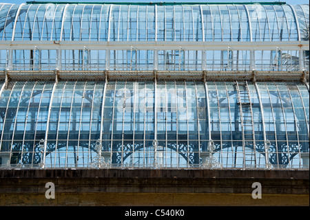 Gemäßigten Palm House, Royal Botanic Gardens, Edinburgh. Schottland Stockfoto