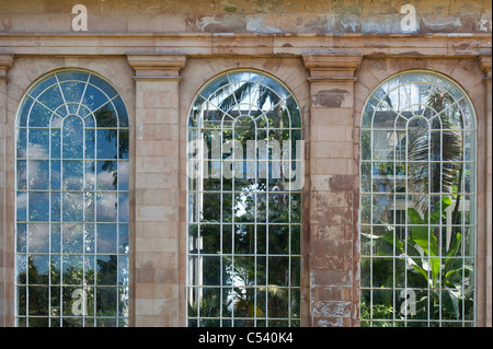 Gemäßigten Palm House, Royal Botanic Gardens, Edinburgh. Schottland Stockfoto