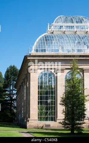 Gemäßigten Palm House, Royal Botanic Gardens, Edinburgh. Schottland Stockfoto