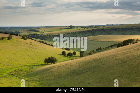 Dramatisches Licht beleuchtet die sanften Hügel der South Downs National Park, East Sussex, England, UK Stockfoto