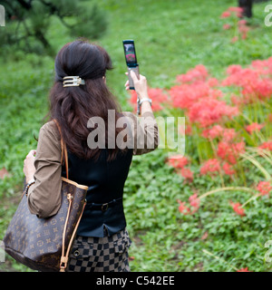 Frau, die ein Bild mit einem Mobiltelefon, Tokyo, Japan Stockfoto