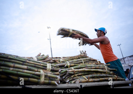 Die VER-O-PESO ("Check das Gewicht") Markt in Belem, Brasilien. Stockfoto