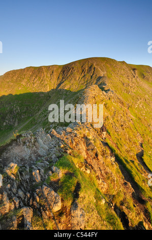 Walker auf Striding Edge in der Morgendämmerung im Sommer im englischen Lake District Stockfoto