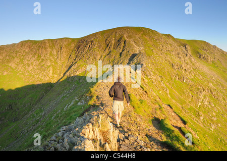 Walker auf Striding Edge in der Morgendämmerung im Sommer im englischen Lake District Stockfoto