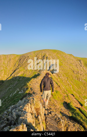 Walker auf Striding Edge in der Morgendämmerung im Sommer im englischen Lake District Stockfoto