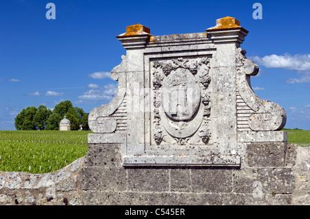 Wand-Detail, Château Latour mit den Weinbergen und Turm im Hintergrund Stockfoto