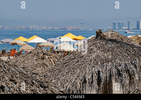 Blick auf Puerto Vallarta und Banderas Bay über den Wipfeln der Palapa und Regenschirm Quellen von Schatten auf Los Muertos Strand. Stockfoto