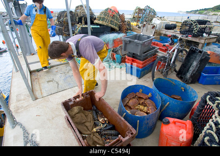 Isle Of Wight, Ventnor, Strand, Isle Of Wight, Marina, Ventnor Hafen Fischerei Stockfoto