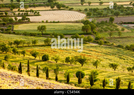 Traditioneller Landwirtschaft, durchsetzt mit kleinen Feldern wachsen Getreide, mit Obstbäumen, in La Calahorra, Andalusien, Spanien, Stockfoto