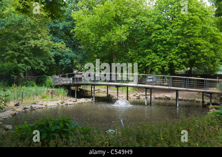 Artis Zoo wie komplexe Amsterdam Niederlande-Europa Stockfoto