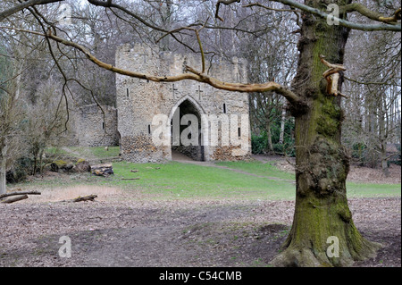 Schloss Torheit hinter Bäumen, Roundhay Park, Leeds, West Yorkshire, Großbritannien Stockfoto