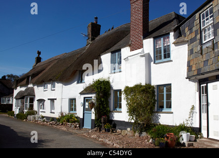 Traditionelle Reihe von strohgedeckten Cottages Devon UK Stockfoto