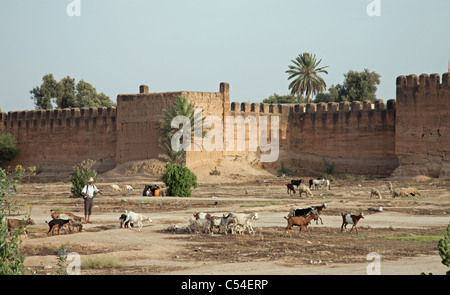 Die Wälle, die die Stadt Taroudannt umgeben sind einige der besten in Marokko erhalten. Stockfoto