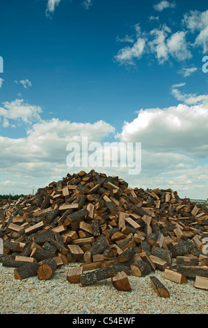 Stapel von frisch geschnittenen Bäumen auf blauen Sku-Hintergrund Stockfoto