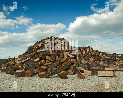 Stapel von frisch geschnittenen Bäumen auf blauen Sku-Hintergrund Stockfoto