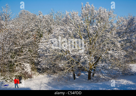 Verschneite Landschaft mit zwei Personen mit Schlitten, Burghfield Common, Reading, Berkshire, England, UK Stockfoto