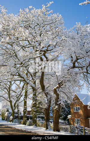 Schneebedeckte Straße, Burghfield Common, Reading, Berkshire, England, UK Stockfoto