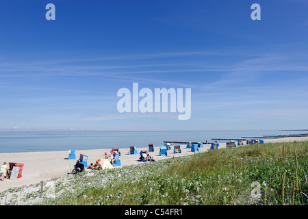 Leisten aus Ahrenshoop Küste, Fischland-Darß-Zingst-Halbinsel, Ostsee, Nord-Vorpommern Bezirk, Deutschland Stockfoto