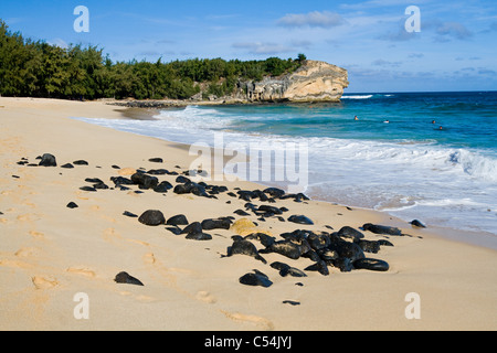 Klippen am Schiffswrack Strand Poipu Kauai Hawaii Stockfoto