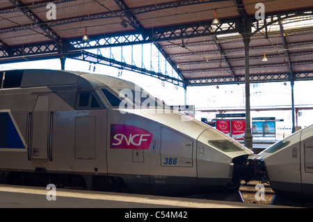 Toulouse, Frankreich, Seitenansicht, SNCF TGV-Seitenansicht, französischer Hochgeschwindigkeitszug im Bahnhof, Logo Stockfoto