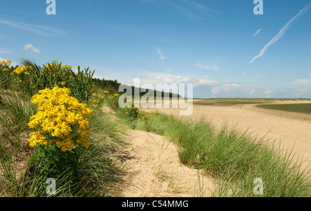 Holkham Beach, North Norfolk, england Stockfoto