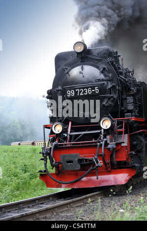 Dampflok auf Harz-Bergbahn Deutschland Stockfoto