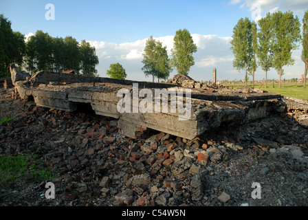 Ruinen der Gaskammer, Oswiecim, Polen. Stockfoto