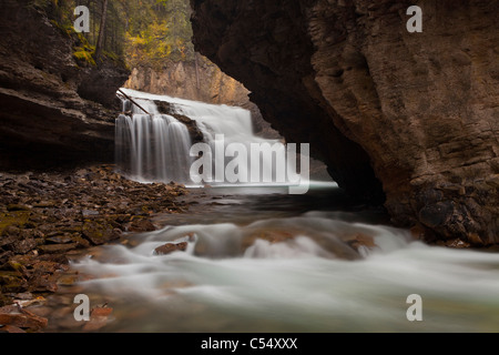 Wasserfall in einem Wald, Johnston Creek, Johnston Canyon, Bow Valley Parkway, Banff Nationalpark, Alberta, Kanada Stockfoto