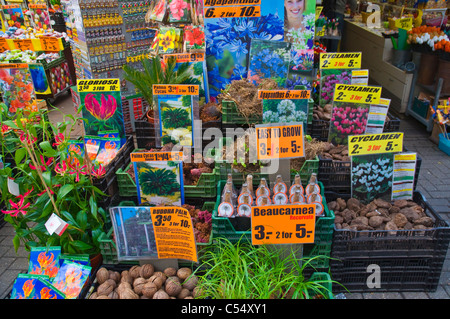 Bloemenmarkt den Singel Blume Markt Amsterdam Niederlande-Europa Stockfoto