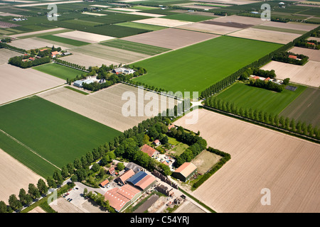 Niederlande, Ens, Farmen und Ackerland in Polderlandschaft. Luftbild Stockfoto