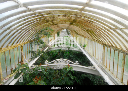 Blick vom Balkon, Palmenhaus, Kew Gardens, Middlesex, UK Stockfoto