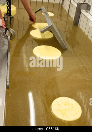 Käse in Salzlösung neu gemacht, Käseherstellung - Rohmilchkäse Im Salzbad, Käseproduktion Stockfoto