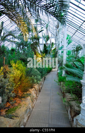 Blick auf das Innere des gemäßigten Haus, Kew Gardens, Kew, Middlesex, Großbritannien Stockfoto