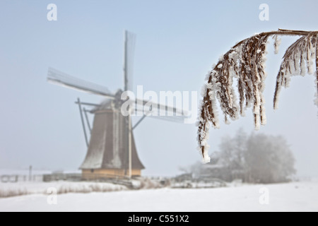 Die Niederlande, Workum, Windmühle in Schneelandschaft. Stockfoto