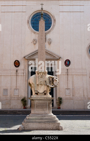 Pulcino della Minerva Stockfoto