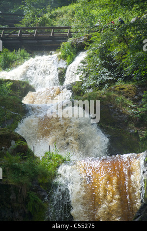 Besucher des höchsten Wasserfalls Deutschlands in Triberg, Schwarzwald, Baden-Wurttemberg Stockfoto