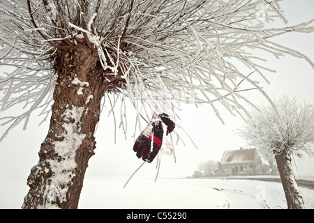 Die Niederlande Ferwoude, Straße, Bauernhof und Weide Bäume im Schnee und Frost. Verlorenen Handschuh Besitzer warten. Stockfoto