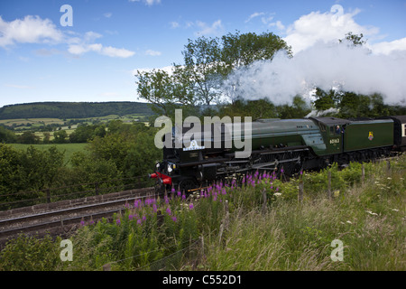 60163 Tornado auf der West Somerset Railway Stockfoto