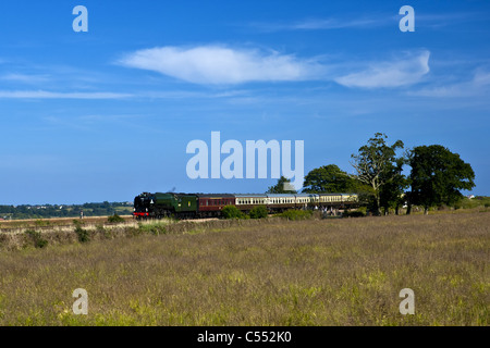 Torbay Express, Richtung entlang dem Fluß Exe. Stockfoto