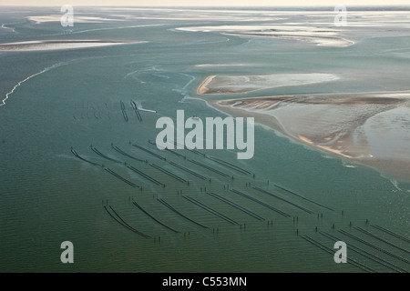 Die Niederlande, Insel Terschelling, einer Gruppe von Inseln, Wattenmeer. Muschel, Muscheln Kultur. Antenne. Stockfoto