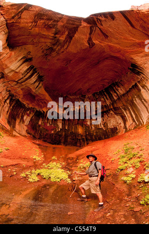 Mann, die Anzeigen von Red Rock Canyon Wände des Double Arch Alkoven Taylor Creek Trail Kolob Canyon Zion Nationalpark, Utah Stockfoto