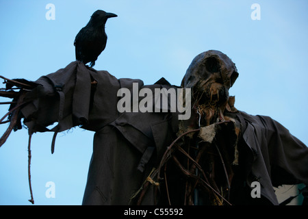 Vogel, hocken auf eine Vogelscheuche in einem Feld Stockfoto