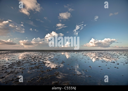 Die Niederlande, Buren, Ameland Insel, gehört zum Wadden Sea Islands. UNESCO-Weltkulturerbe. Watten. Stockfoto