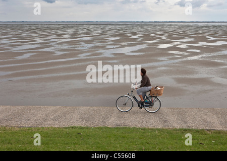 Die Niederlande, Ballum, Ameland Insel, gehört zum Wadden Sea Islands. Frau auf dem Fahrrad und Hund am Deich Stockfoto