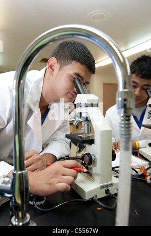 Spanische jungen tragen Laborkittel beim Mikroskop im Biologieunterricht an Stamm Early College High School in Texas Pharr Stockfoto