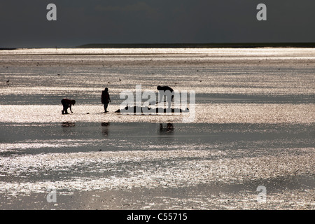 Die Niederlande, Nes, Ameland Insel, gehört zum Wadden Sea Islands. Mann und Kinder, die auf der Suche nach Fischen Würmer. Stockfoto