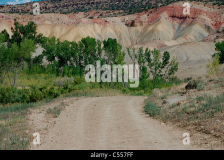 Feldweg durch eine Wüste, Montrose, Colorado, USA Stockfoto