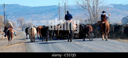 USA, Colorado, Cowboys, die Bewachung der Rinderherden auf Straße Stockfoto